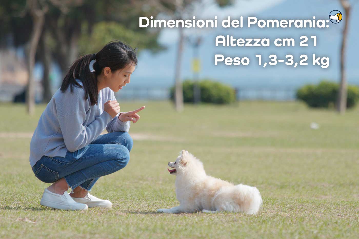dimensioni 21cm