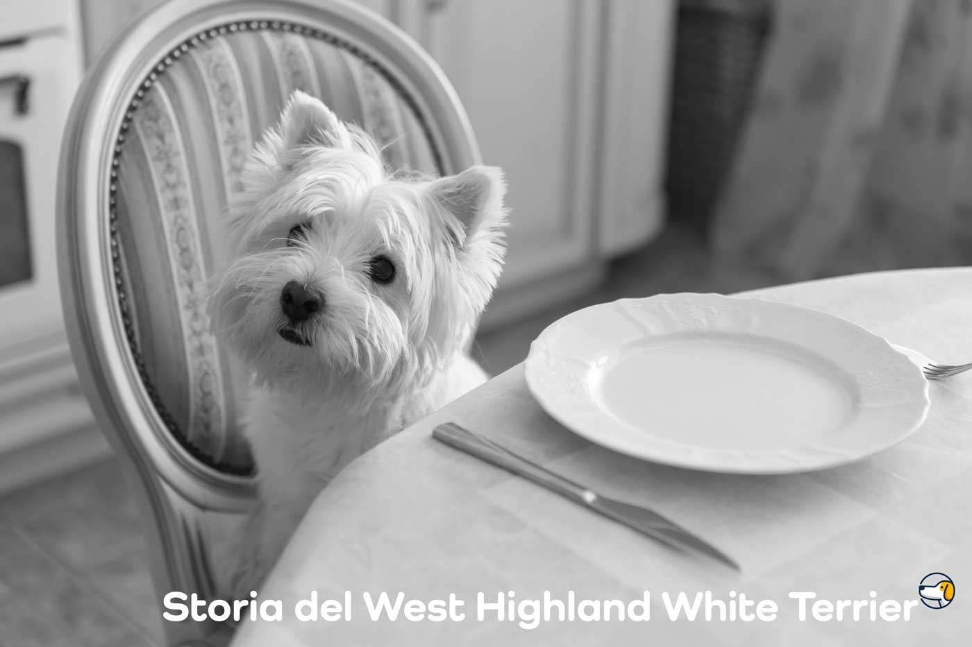 westie storia