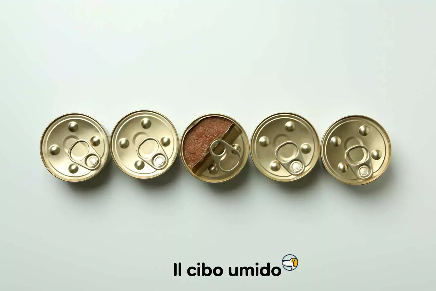cibo umido per il maltese