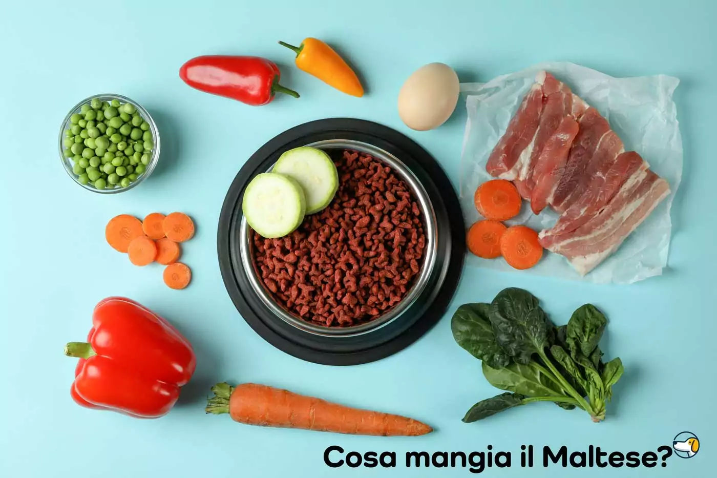 cosa mangia il maltese