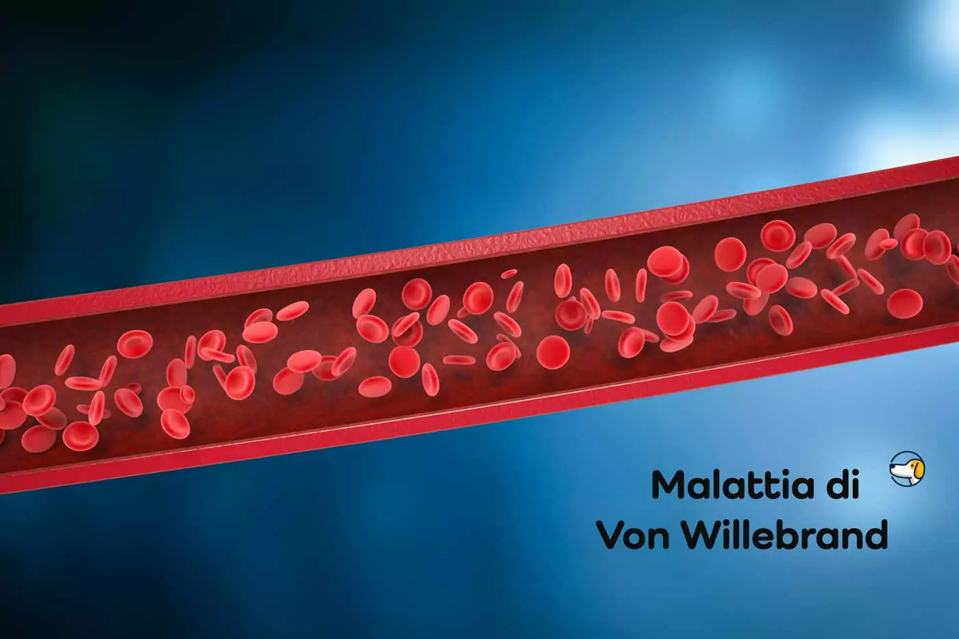 malattia di von willebrand nel bulldog