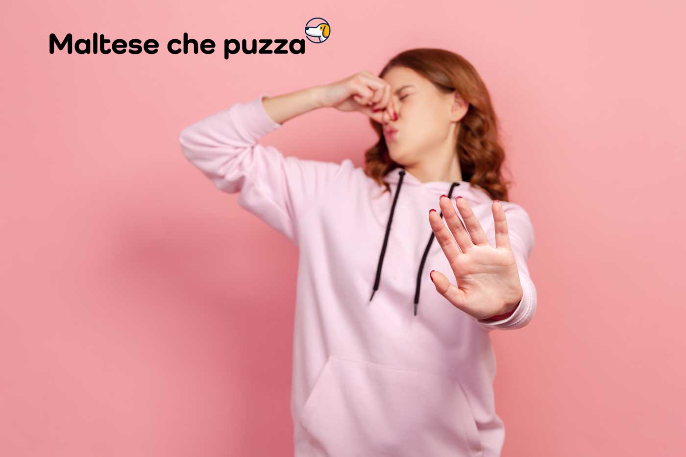 cane maltese che puzza