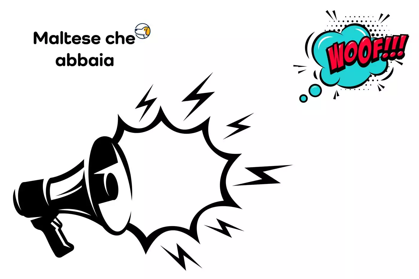 cane maltese che abbaia