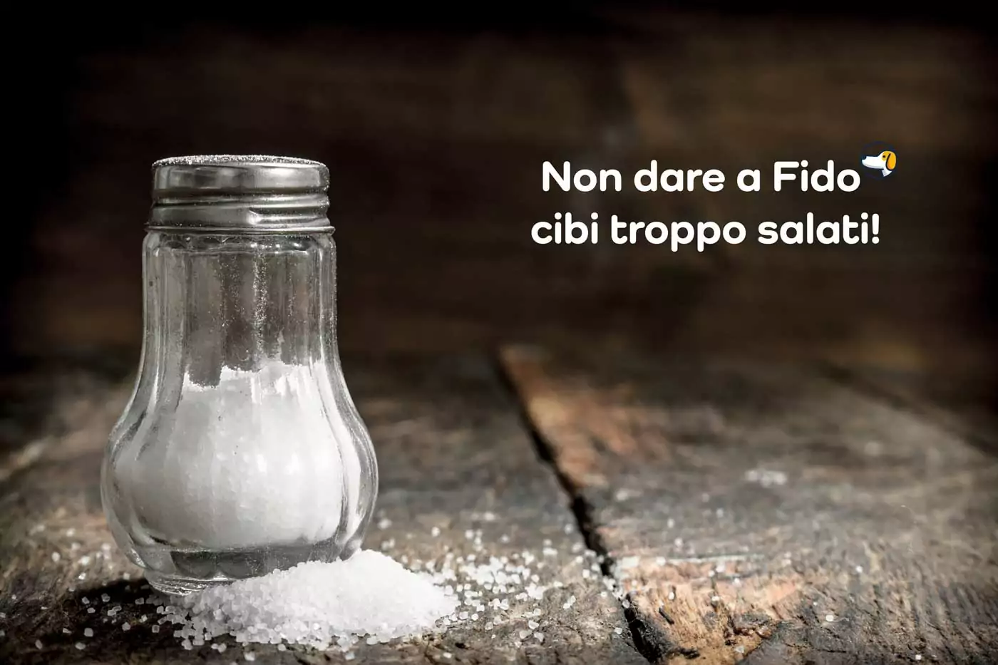 non dare al cane cibi salati