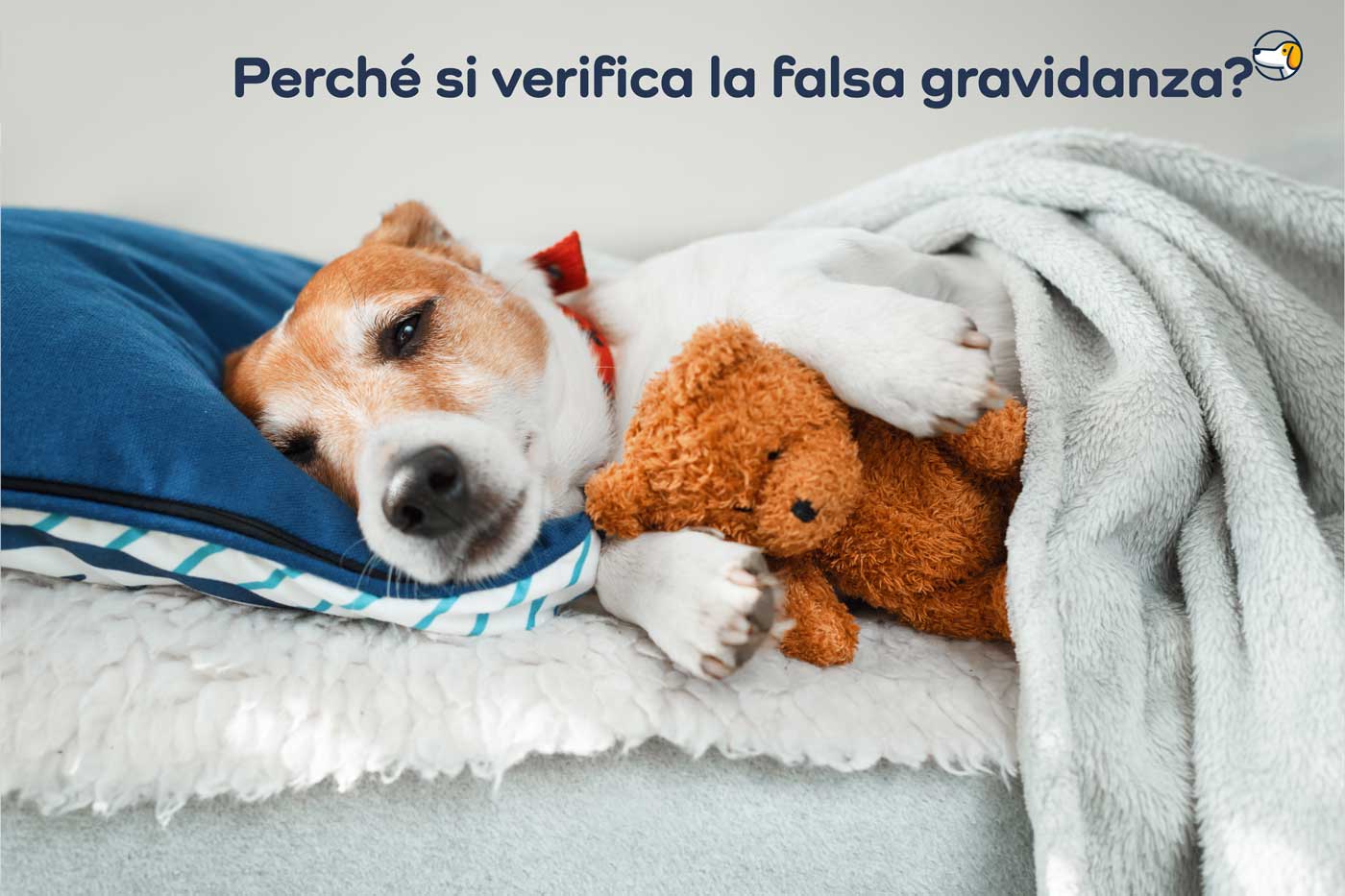 perché si verifica la falsa gravidanza