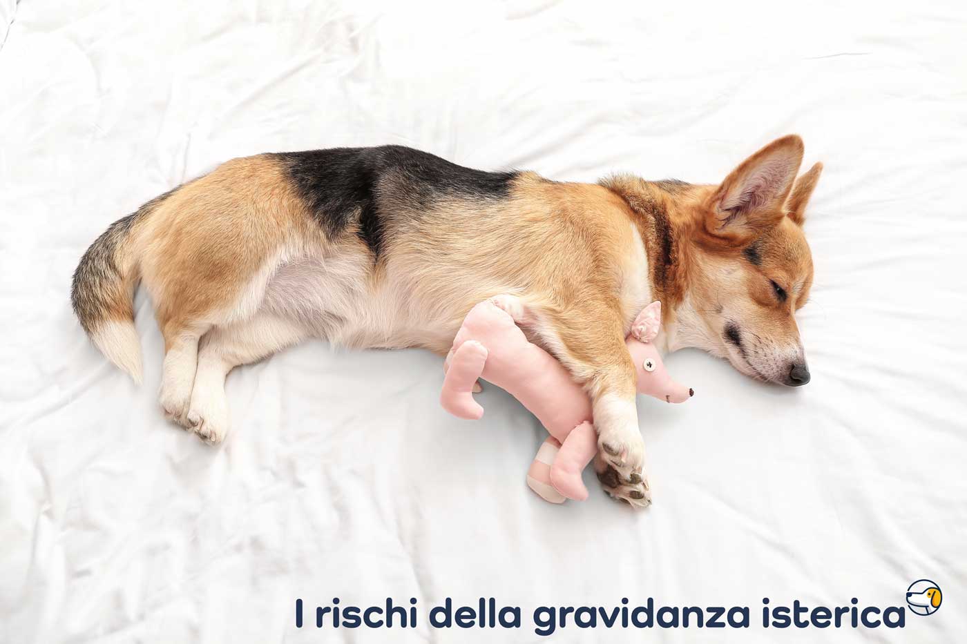 rischi gravidanza isterica