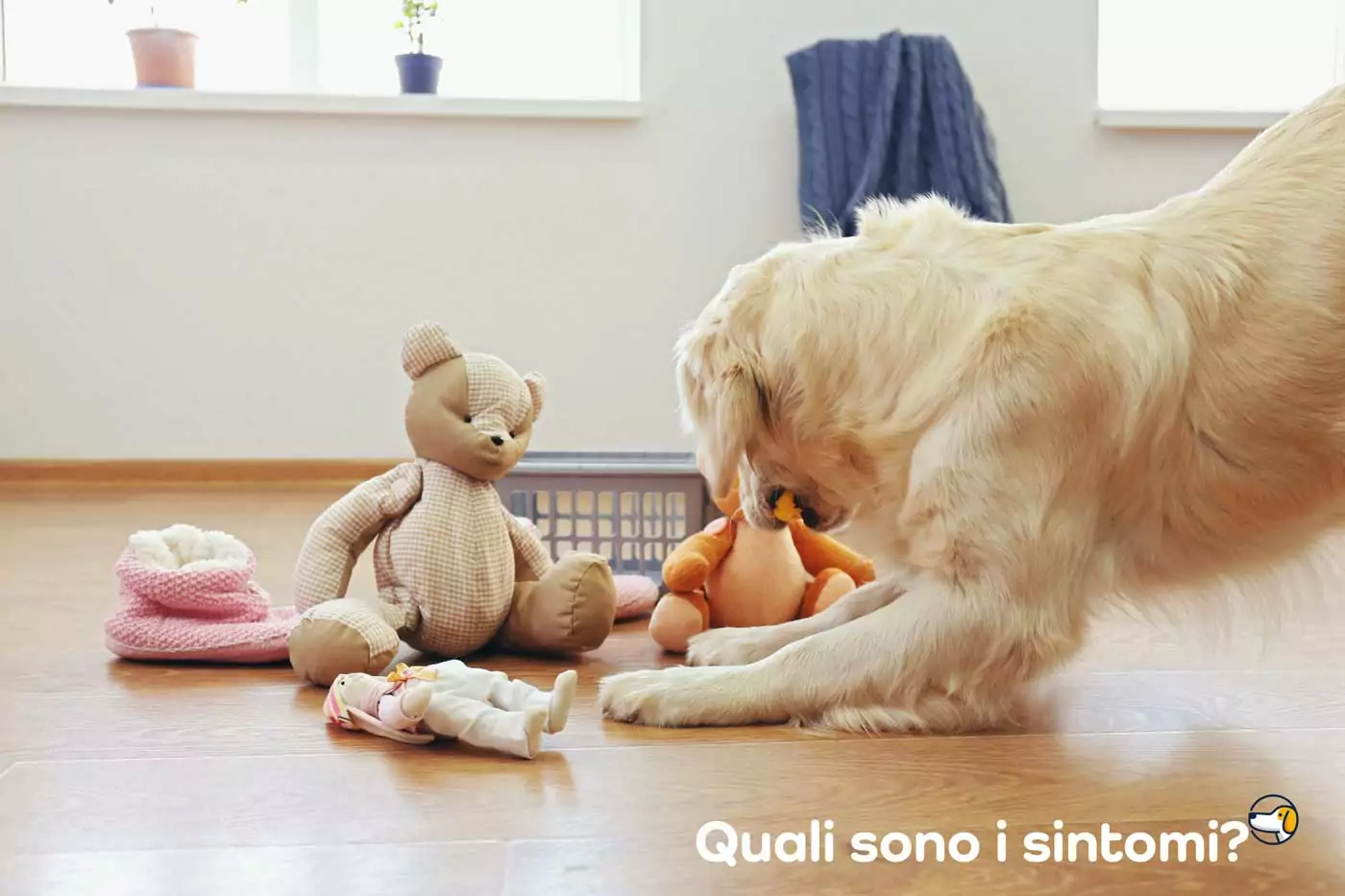 i sintomi della gravidanza isterica