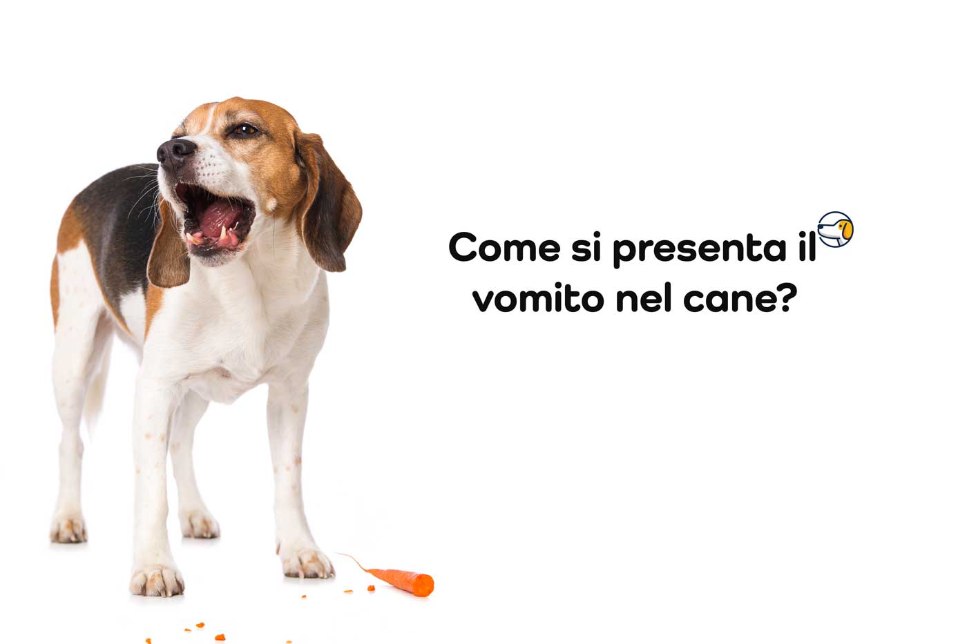 come si presenta il vomito