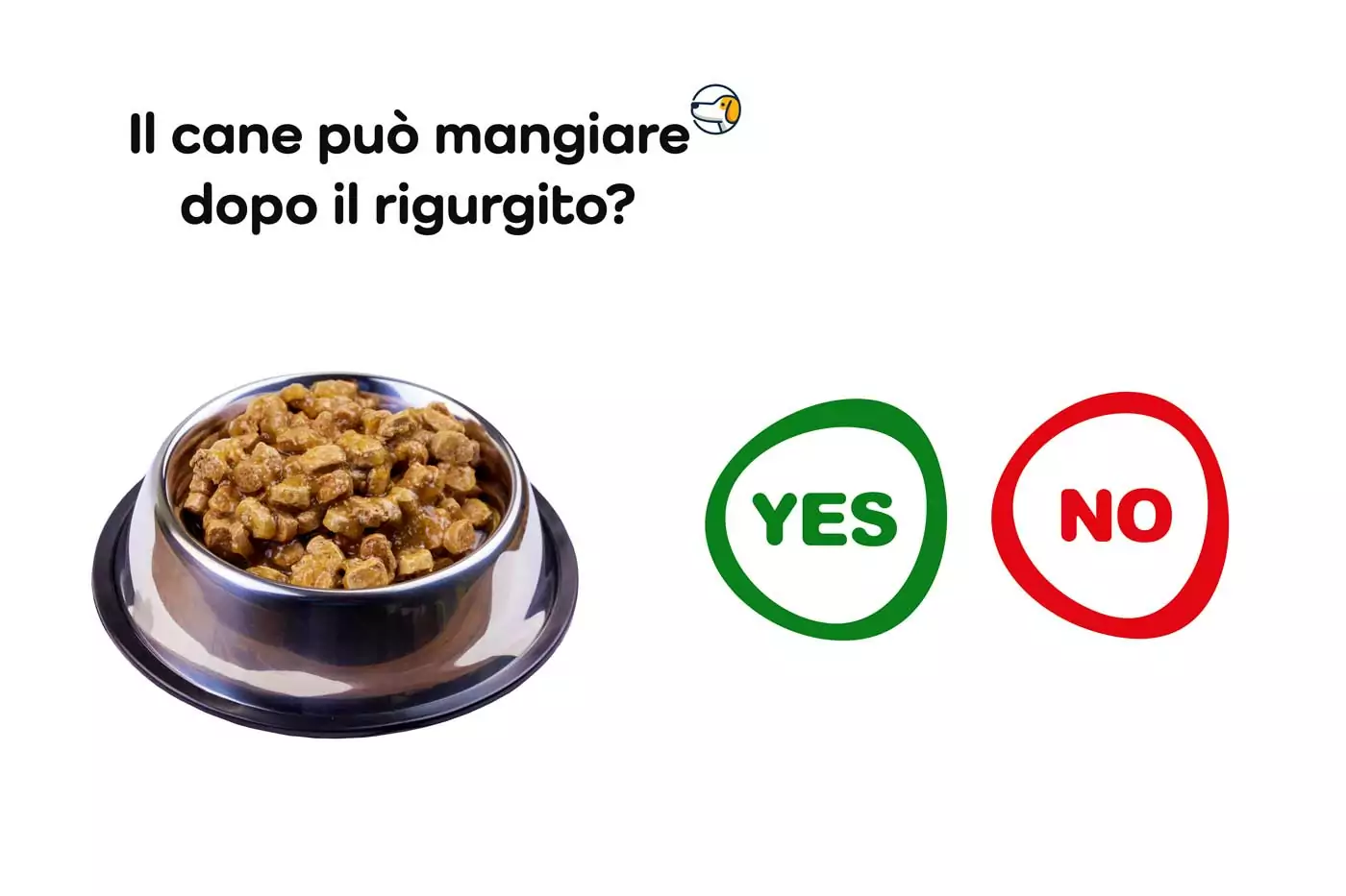 il cane può mangiare dopo il rugurgito