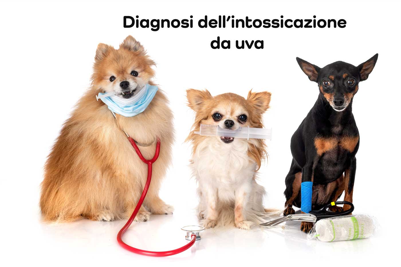 diagnosi intossicazione da uva
