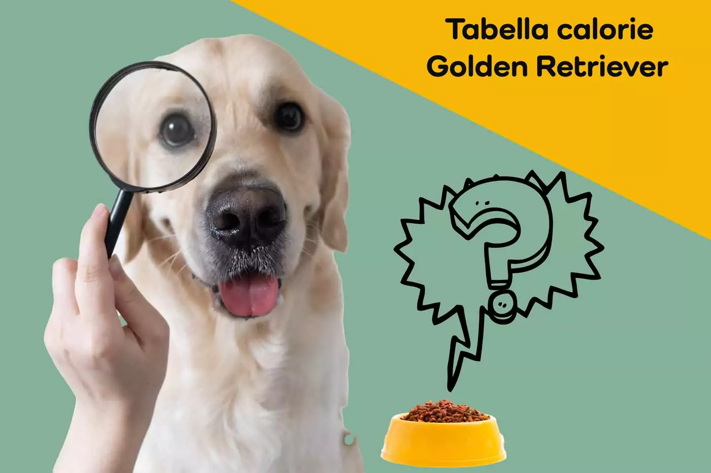 tabella calorie golden