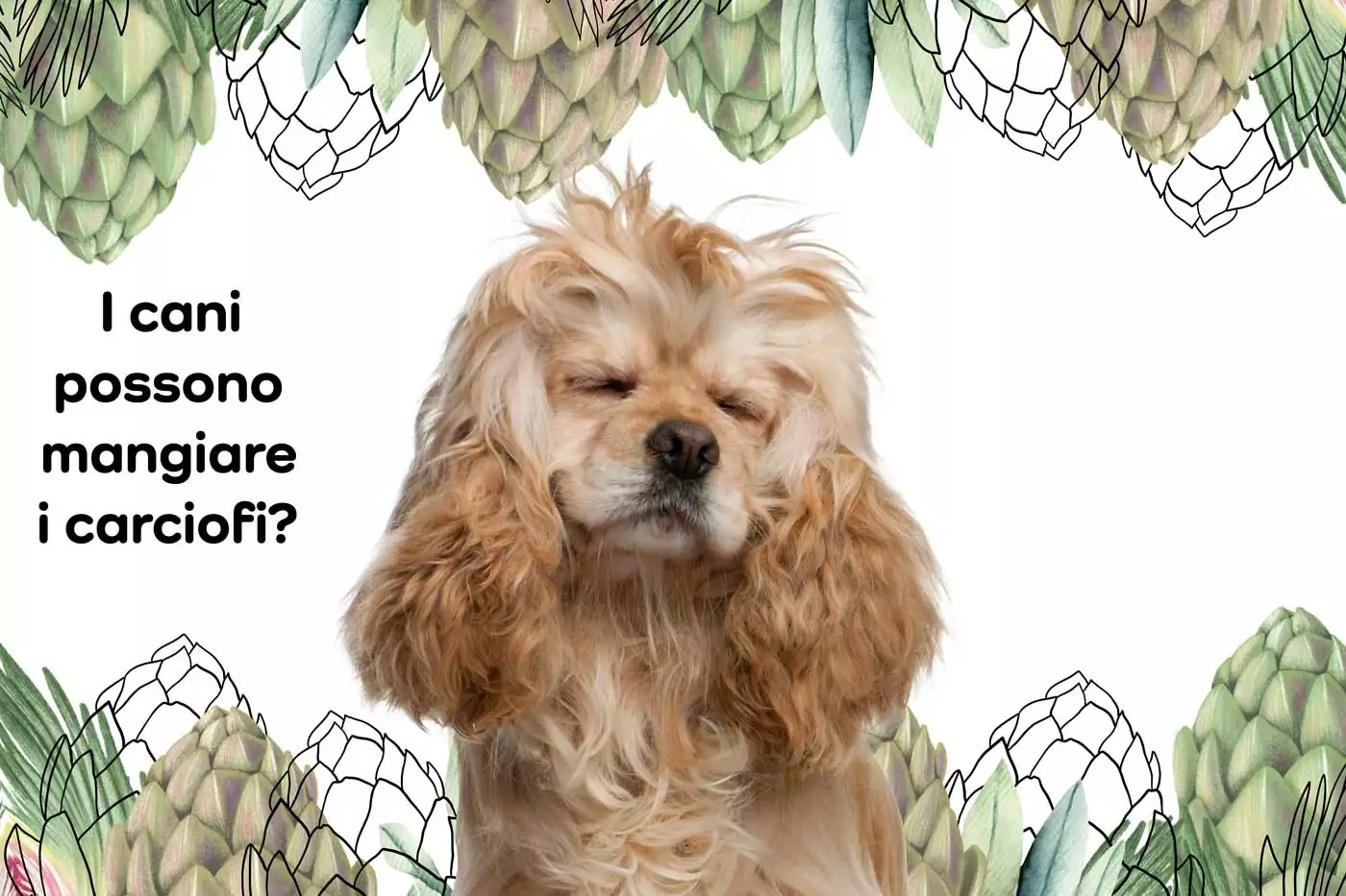 I Carciofi Fanno Male Ai Cani