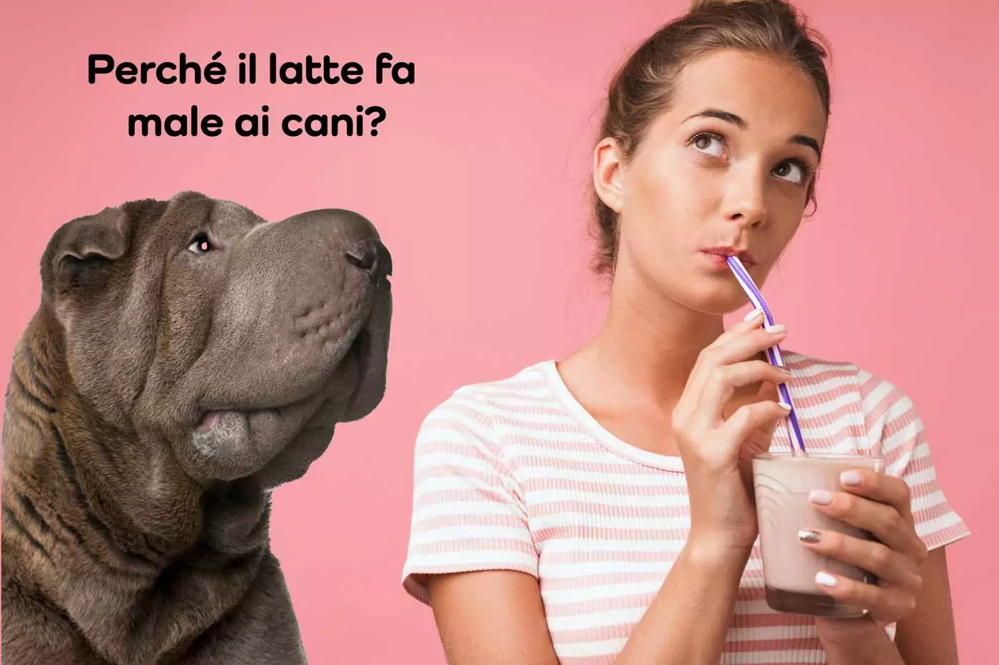 perché il latte fa male ai cani