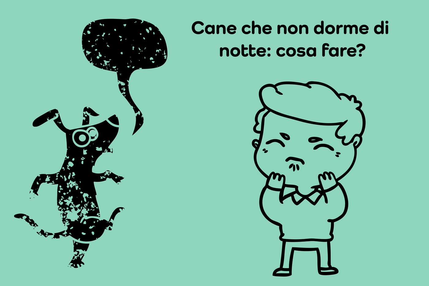 cosa fare se il cane non dorme