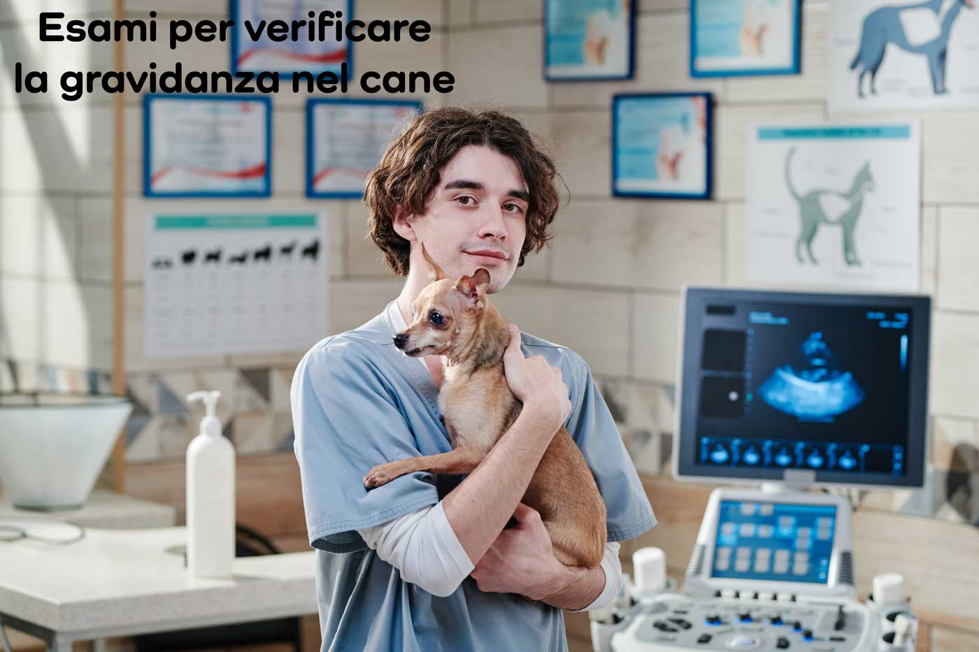 come sapere se la cagna è incinta