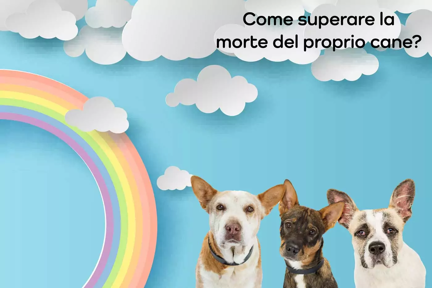 come si supera la morte del proprio cane