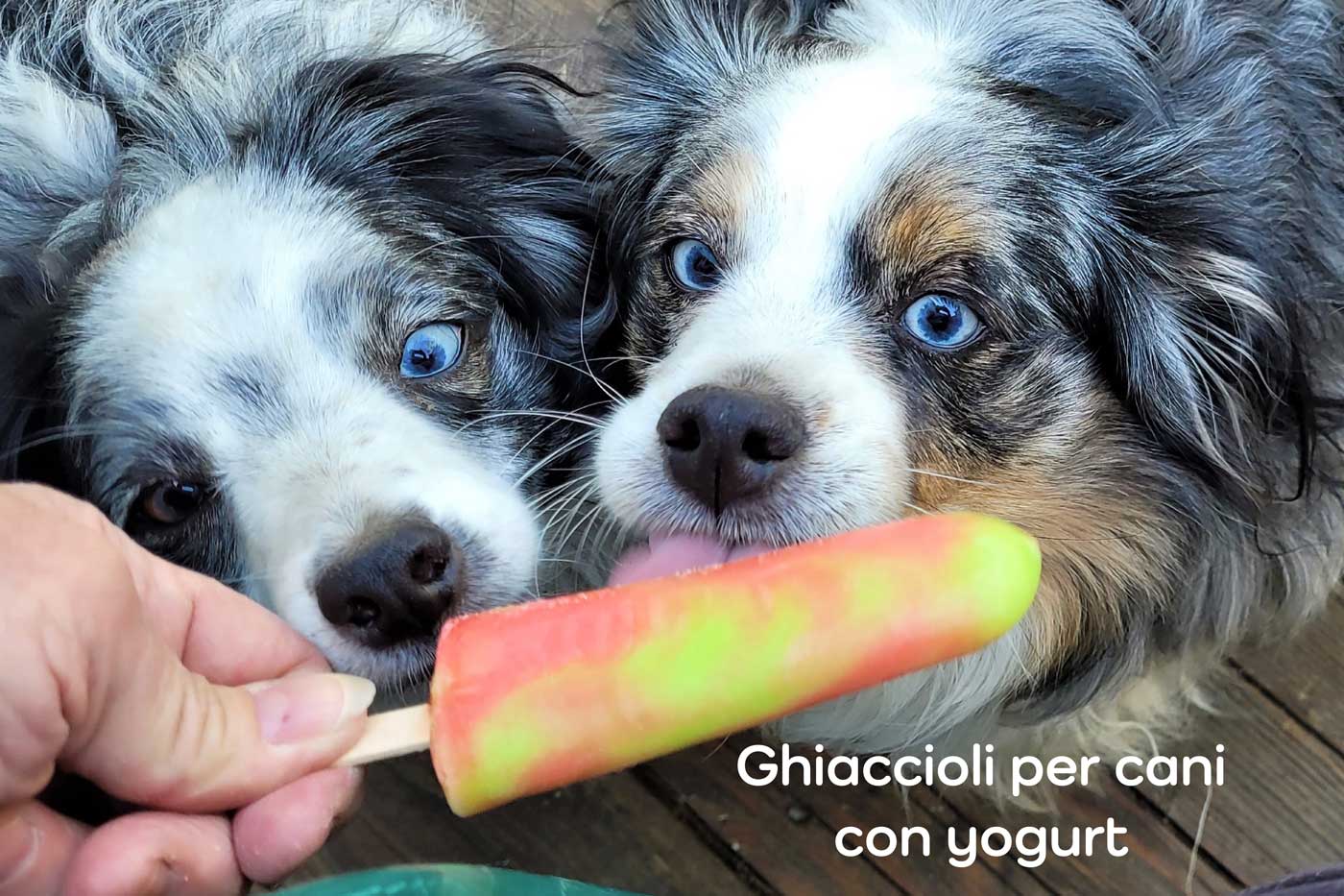 ghiaccioli per cani con yogurt