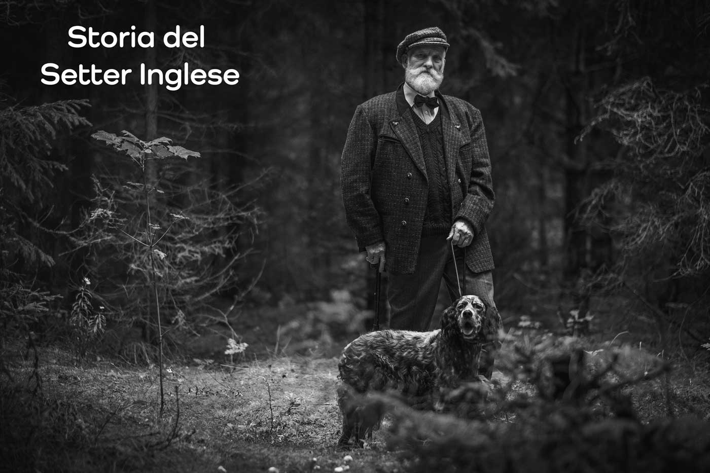 setter inglese storia