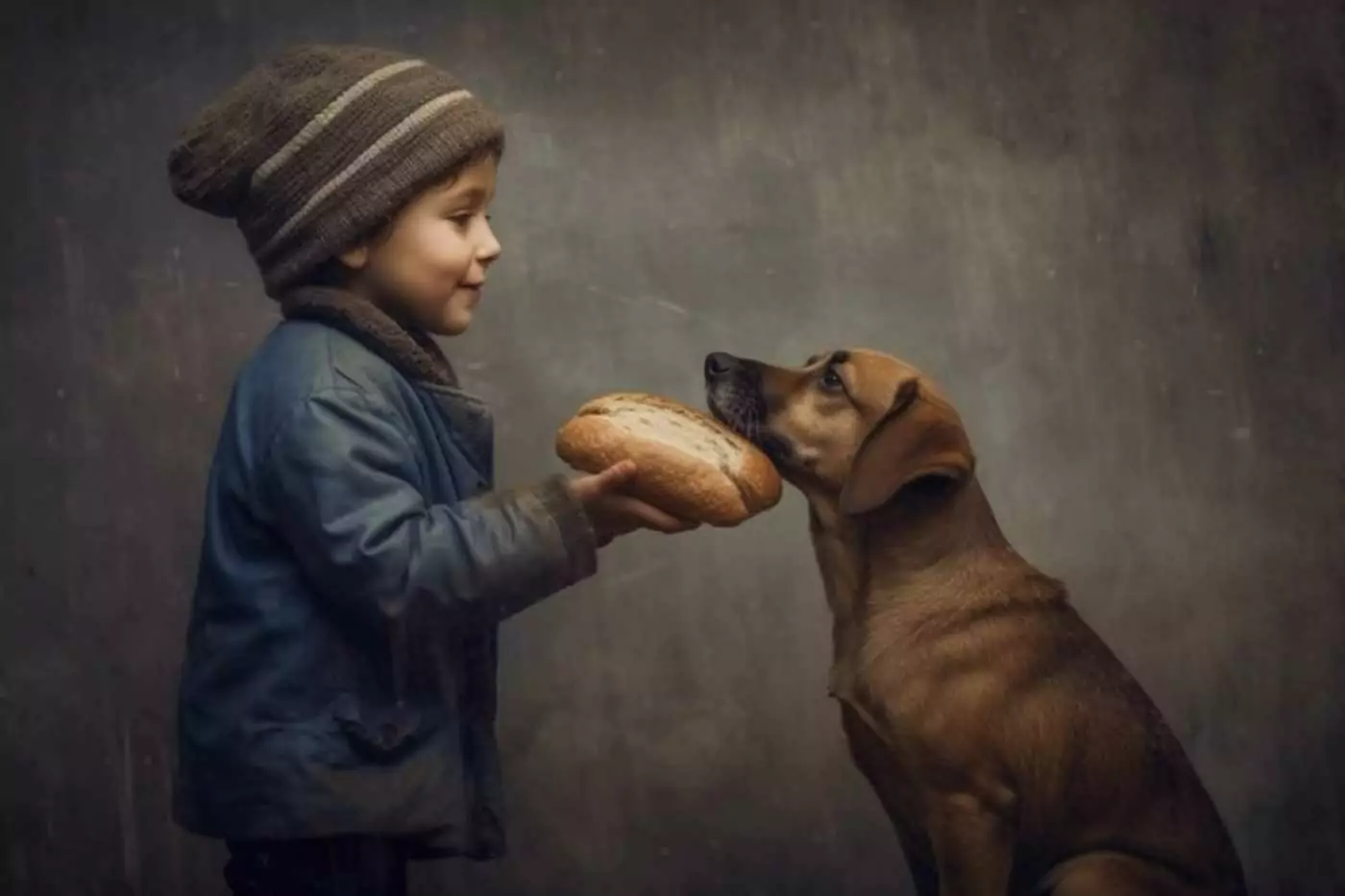 alimentazione cane con gastrite