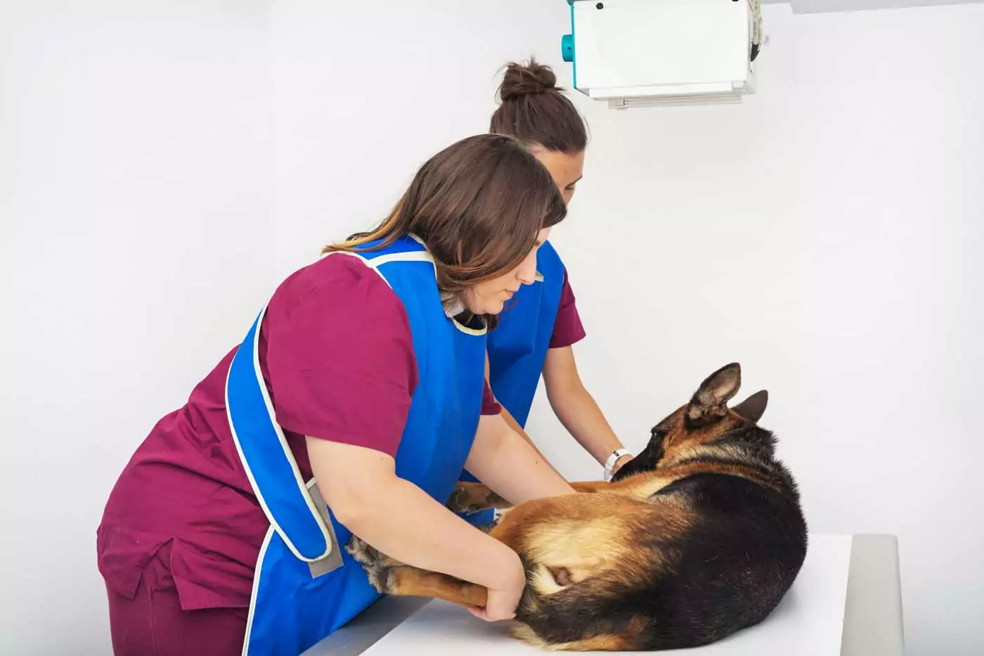 radiografia displasia dell'anca